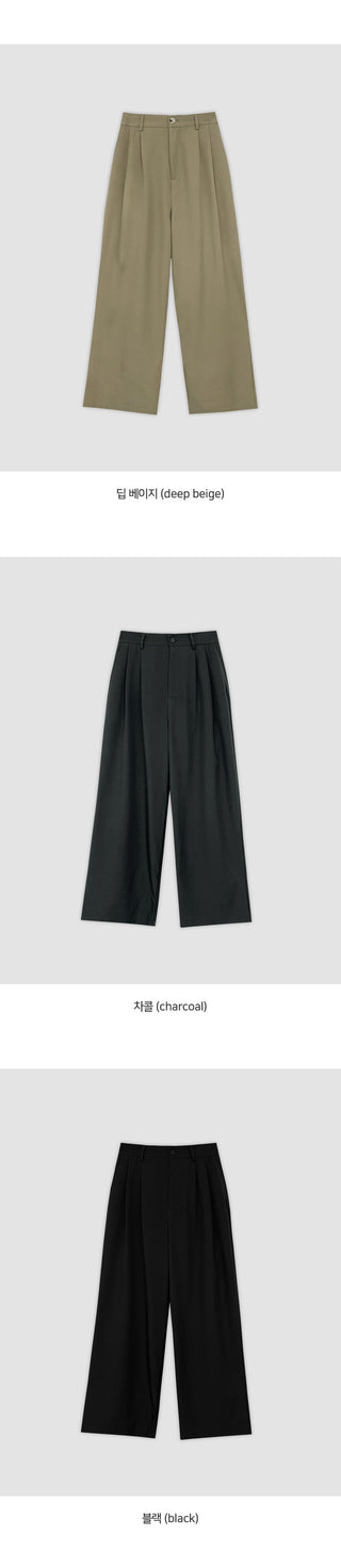Teroen Two Pin Tuck Back Elastic Waist Wide Slacks