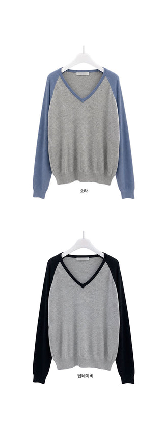 Vita Raglan Color Block V-Neck Knit