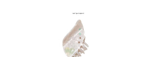 [NECY] wing hair clip