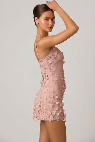 Embellished Appliqu? Corset Mini Dress in Dusty Rose