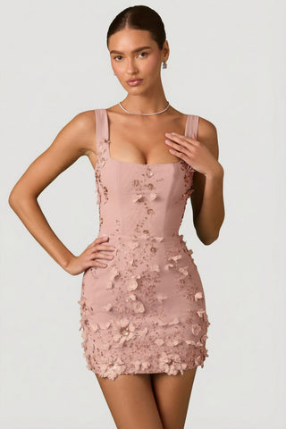 Embellished Appliqu? Corset Mini Dress in Dusty Rose