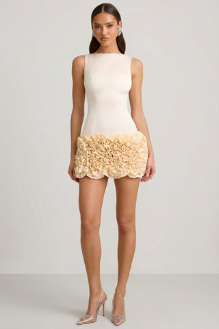 Satin Floral Appliqu? Open-Back Mini Dress in Ivory