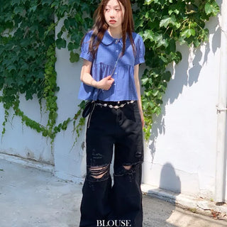 Furlin Check, Loose Fit, Round Collar Neck, Striped Embroidery, Puff Short Sleeve, Button Blouse,