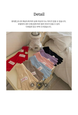 Colorful lettering patch touch gloves