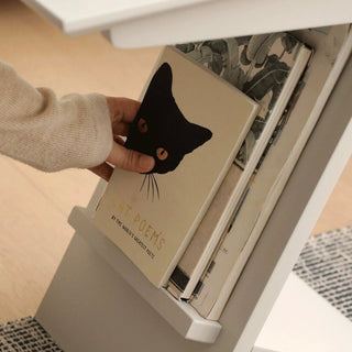 Simple Modern Display Side Table  Storage Magazine Rack Coffee Table