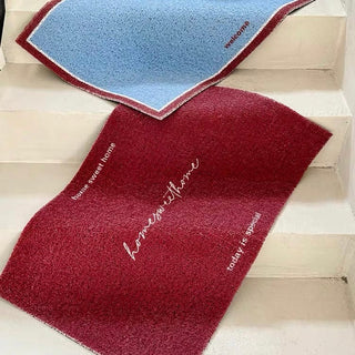 Blue and Red color scheme entrance mat 50 x 80 cm for removing mud.
