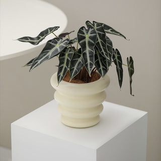 Wave Ceramic Planter Cover