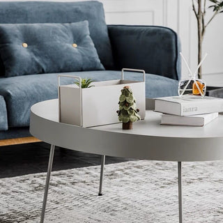 Storage Box with Handle Magazine Rack