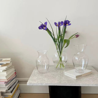 Clear Glass Simple Flower Vase