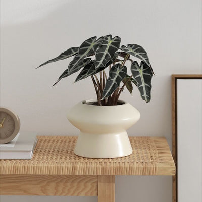 UFO-shaped Simple Modern Ceramic Planter Cover