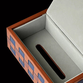 Box-shaped braided faux leather tissue case