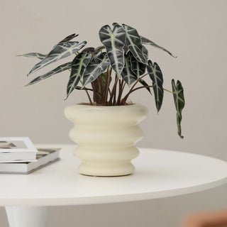 Wave Ceramic Planter Cover