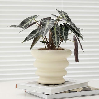Wave Ceramic Planter Cover
