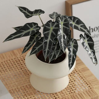 UFO-shaped Simple Modern Ceramic Planter Cover