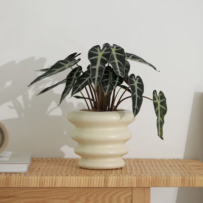 Wave Ceramic Planter Cover