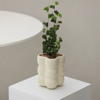 Pocopoco Bubble Ceramic Pot Cover