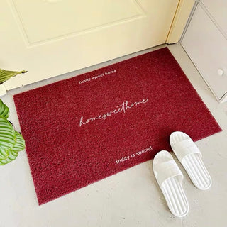 Blue and Red color scheme entrance mat 50 x 80 cm for removing mud.