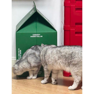 Green Pack-type Cat House Cat House Scratching Post Cardboard House