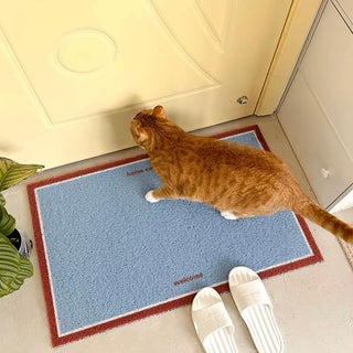Blue and Red color scheme entrance mat 50 x 80 cm for removing mud.