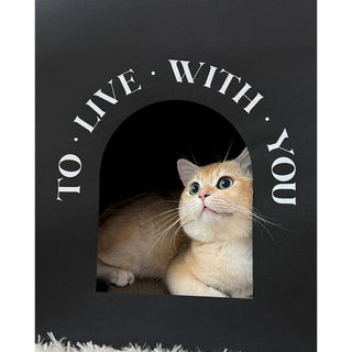Paper bag style cat housein . Cat house scratching post foldable.