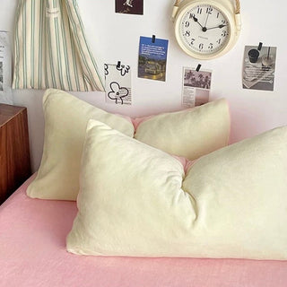 Two-tone Simple Plain Milk Velvet Winter Duvet Cover Set