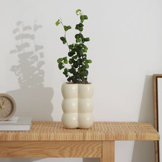 Pocopoco Bubble Ceramic Pot Cover