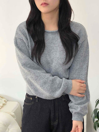 Soft Puff Sleeve Round Crop Knit