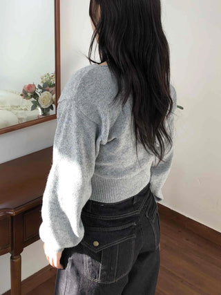 Soft Puff Sleeve Round Crop Knit