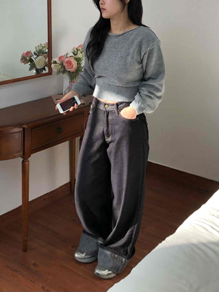 Soft Puff Sleeve Round Crop Knit
