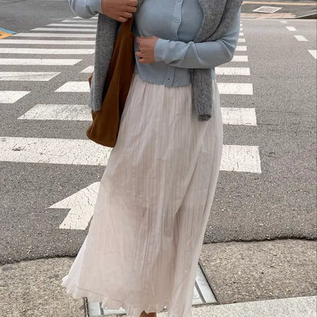 Pleated See-through Elastic Waist Maxi Skirt