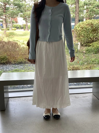 Pleated See-through Elastic Waist Maxi Skirt