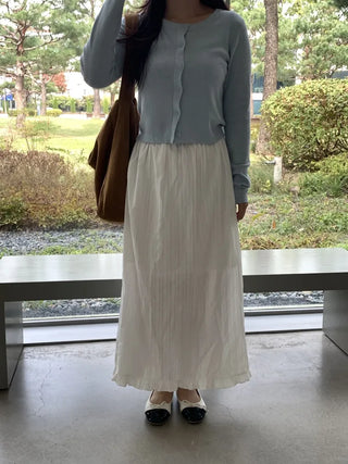 Pleated See-through Elastic Waist Maxi Skirt