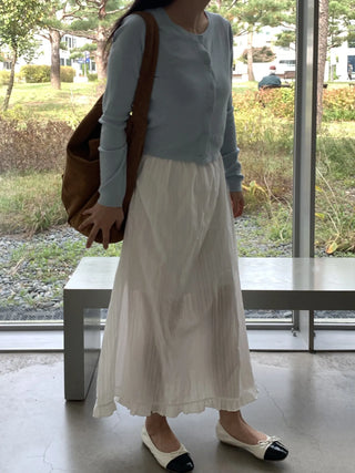 Pleated See-through Elastic Waist Maxi Skirt