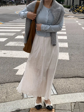 Pleated See-through Elastic Waist Maxi Skirt