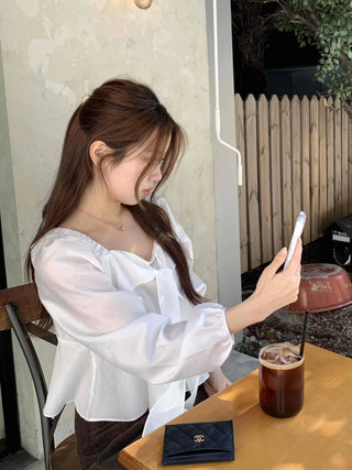 Delicate Fit See-through Cardigan Style Bolero Blouse