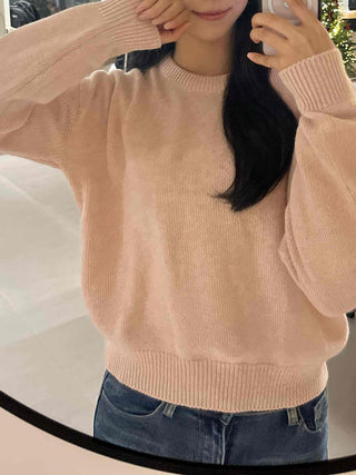 Soft Pastel Balloon Sleeve Round Neck Knit