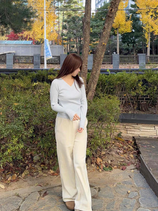 Basic V-neck Slim Fit Ribbed Knit