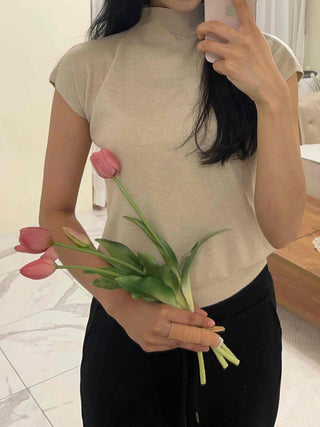 Soft Loose Fit Half Neck Cap Sleeve Knit