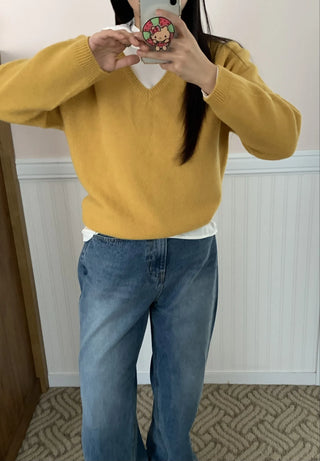Soft Daily V-Neck Crop Loose Fit Knit