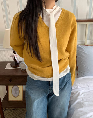 Soft Daily V-Neck Crop Loose Fit Knit