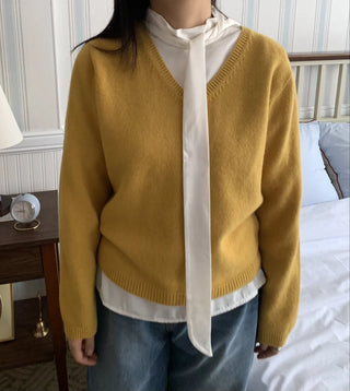 Soft Daily V-Neck Crop Loose Fit Knit