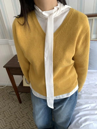 Soft Daily V-Neck Crop Loose Fit Knit
