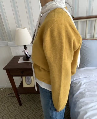 Soft Daily V-Neck Crop Loose Fit Knit
