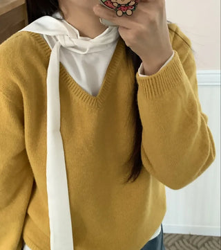 Soft Daily V-Neck Crop Loose Fit Knit