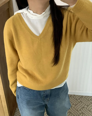 Soft Daily V-Neck Crop Loose Fit Knit