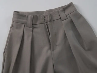 Jian Daily Two-Pin Tuck Wide Slacks