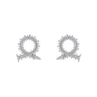 Silver needle high-end earrings