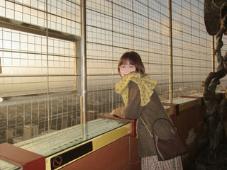 cream coffee glasses