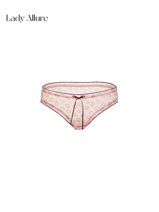 chic mesh panties