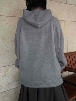 Button Neck Hooded Loose Fit Knit